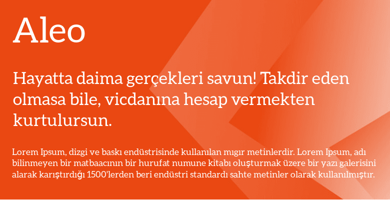 best web fonts