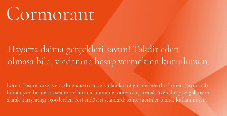 best web fonts