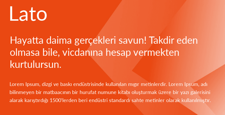 best web fonts