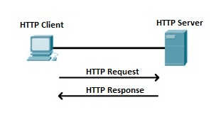 world wide web