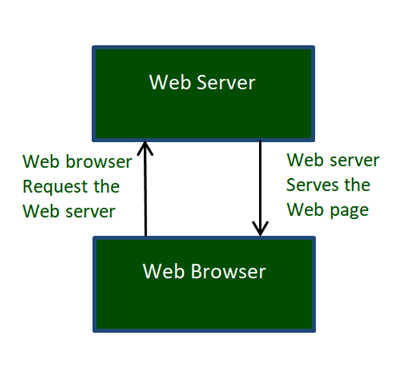 world wide web